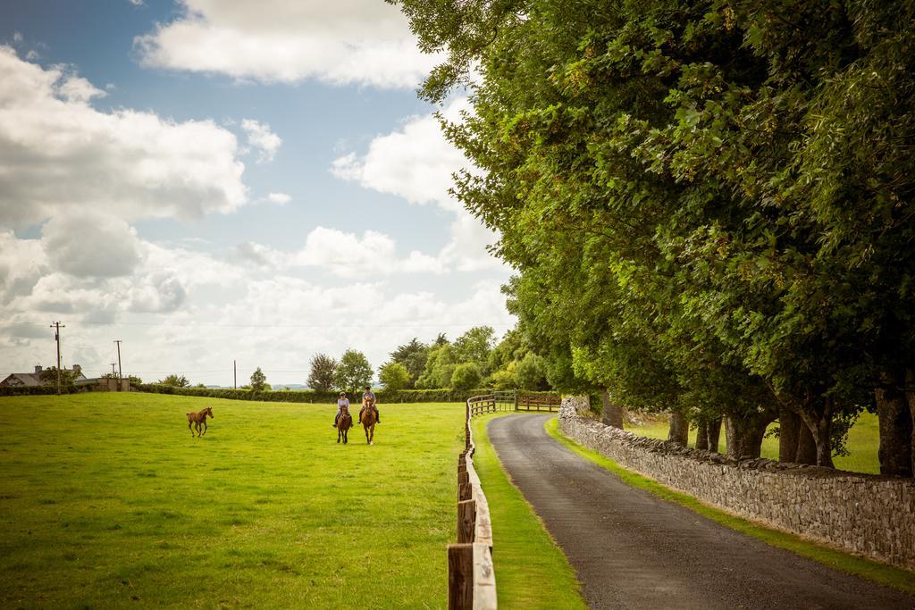 Cahergal Farmhouse B&B Newmarket-on-Fergus Ngoại thất bức ảnh